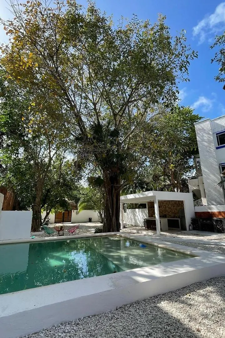 Nido By Puerto Morelos Lejlighedshotel
