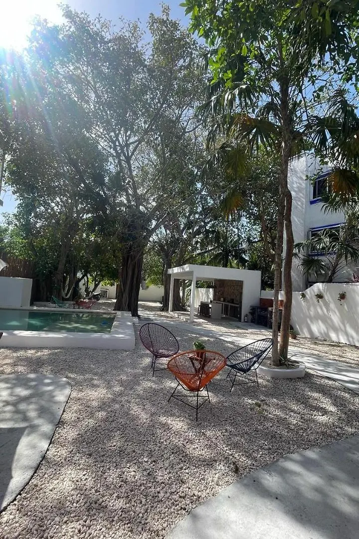 Nido By Puerto Morelos 0*,
