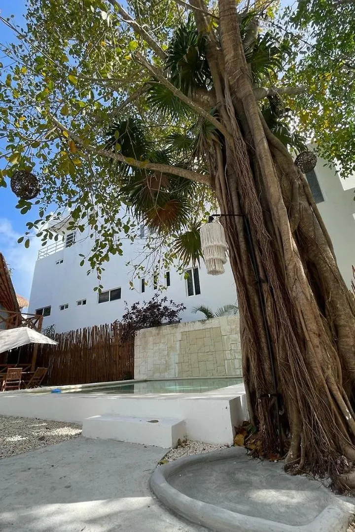 Aparthotel Nido By Puerto Morelos Mexico