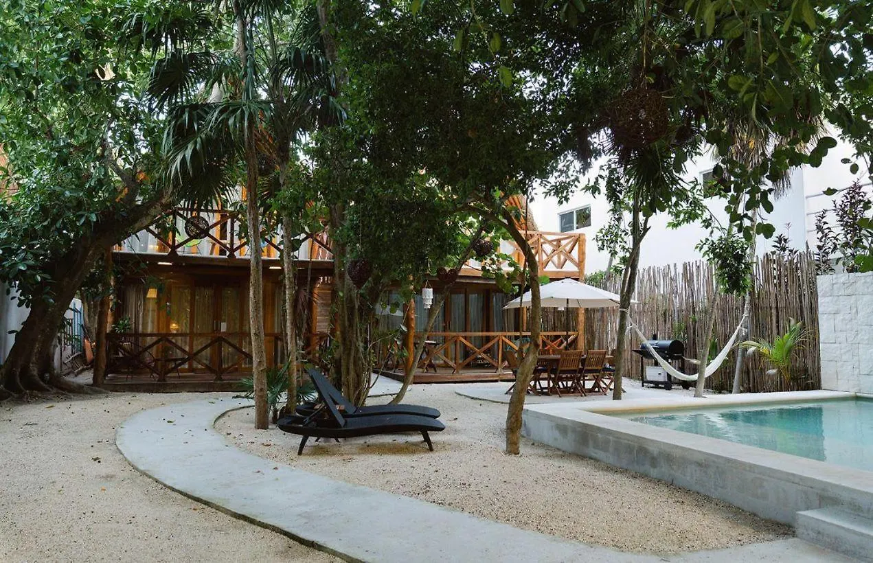 Nido By Puerto Morelos 0*,  Mexico