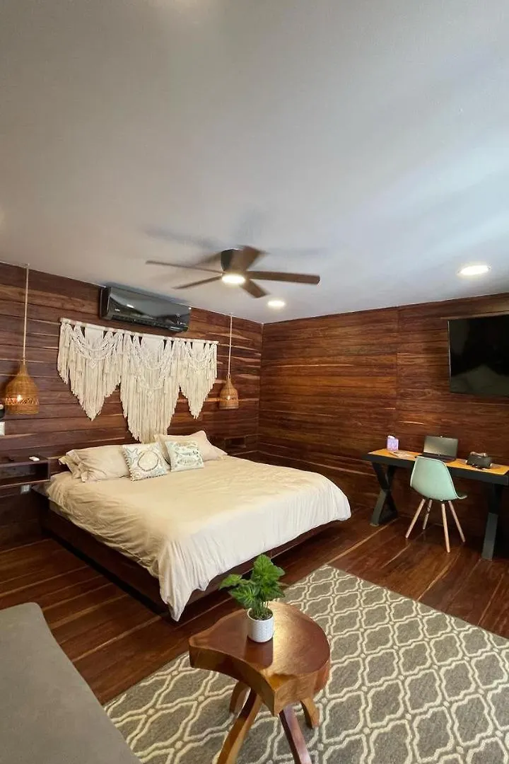 Nido By Puerto Morelos